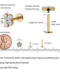Top Shelf 16G Flower Cartilage Piercing Jewelry In ASTM F136 Titanium Hypoallergenic Flat Back Studs showing gold CZ flower design and measurements.