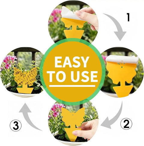 Zero Sweat 58 Pack Yellow Sticky Gnat Traps For Indoor Plants That Straight Out Knock Down Fungus Gnats And Sneaky Fruit Flies With Sweet Sunflower And Butterfly Adhesive Cards shown in four easy steps for effective use.