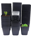 Square Seed Starter Pots 3 Inch 120 Pack Black Plastic Nursery Pots With Drainage in stacks with plants inside, 2.7 inches tall.