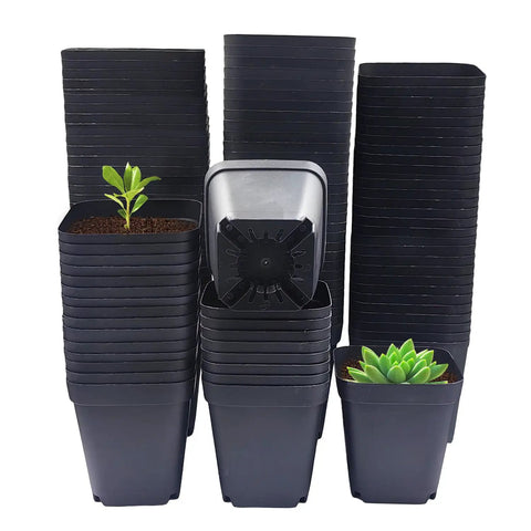 Square Seed Starter Pots 3 Inch 120 Pack Black Plastic Nursery Pots With Drainage in stacks with plants inside, 2.7 inches tall.