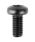 License Plate Screws For Tesla Model 3 And Model Y And BMW Four Pack M5 0.8 By 8mm Security Torx T25 Drive Head 18-8 Stainless Steel Black Oxide Finish Built To Last On Everyday Road Trips, single close-up