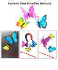 Three colorful butterfly magnets with a horseshoe magnet, for educational magnetic kit for STEM experiments with bar ring horseshoe and compass magnets high quality ceramic ferrite magnets for classroom learning hands on science tools for kids and students.