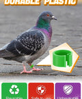 Colorful Readable Numbered Bird Leg Bands Set For Bird Nerds And Hobbyists 0.3in Inner Diameter 100 Pcs Pigeon Leg Rings Clip On Durable