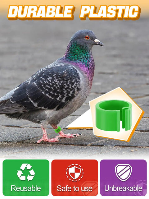 Colorful Readable Numbered Bird Leg Bands Set For Bird Nerds And Hobbyists 0.3in Inner Diameter 100 Pcs Pigeon Leg Rings Clip On Durable