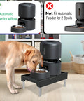 Hella Sturdy Raised Dog Feeder Stand And Elevated Cat Food Holder with adjustable height and non-slip feet for pet convenience.