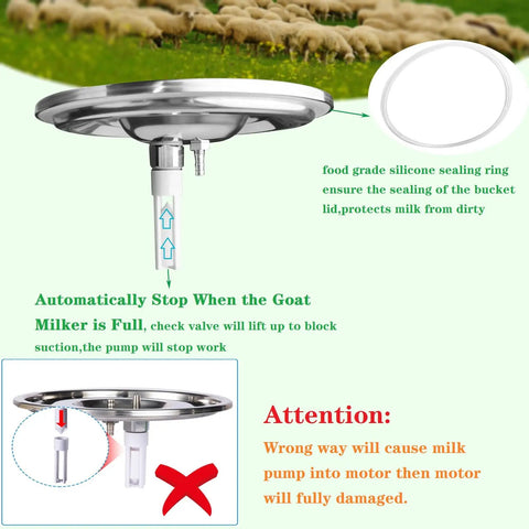Portable Electric Goat Milking Machine Auto Milker With 3L Stainless Steel Bucket, Fast Daily Milking For Goats And Sheep, Gentle Yet Efficient, A Real Time Saver For Small Farms And Home Use. Stainless steel lid with silicone seal and valve detail.