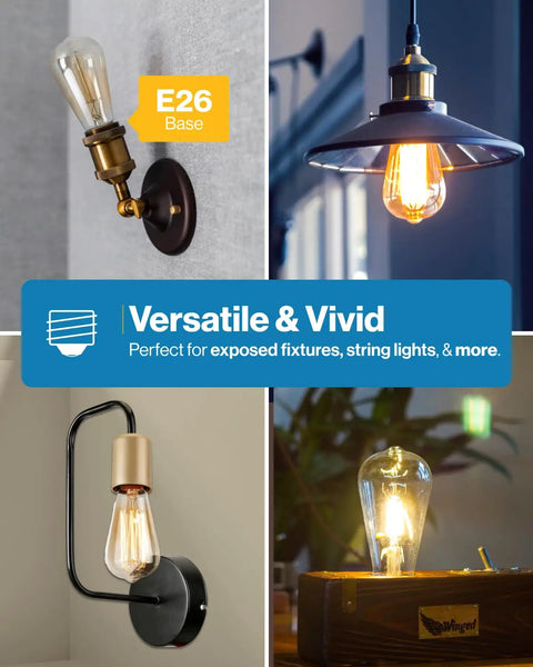 12 Pack LED Edison Bulbs ST64 Vintage Filament Clear Waterproof Dimmable Bulbs 800 Lumens 8W 60W Equivalent Soft White 2700K E26 shown in various fixtures