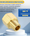 Premium brass pipe fittings reducing adapter M10 female to M8 male connector for air, oil, and LP systems, 300 PSI, 250°F.