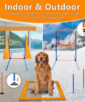 Golden retriever on All In One Dog Agility Training Kit For Epic Backyard Fun And Indoor Play with jumps and poles