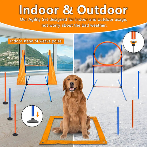 Golden retriever on All In One Dog Agility Training Kit For Epic Backyard Fun And Indoor Play with jumps and poles
