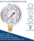 BPSSDI glycerin-filled low-pressure gauge with 0-60 psi, 2.5-inch dial, 1/4 in NPT male, 304 stainless steel case