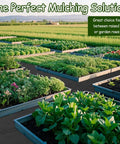 Raised garden beds with green vegetables, showcasing use of mulch mats for pathways and plant separation.
