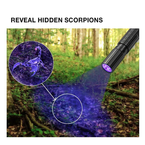 Pocket Size UV Black Light Flashlight With Zoomable 395 Nm Beam For Detecting Dog Urine And Dry Stains highlighting scorpions