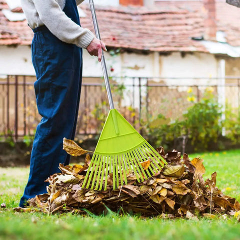 Person using Lightweight Plastic Leaf Rake With 56 Inch Stainless Steel Handle And 22 Tines Plastic Head to gather leaves