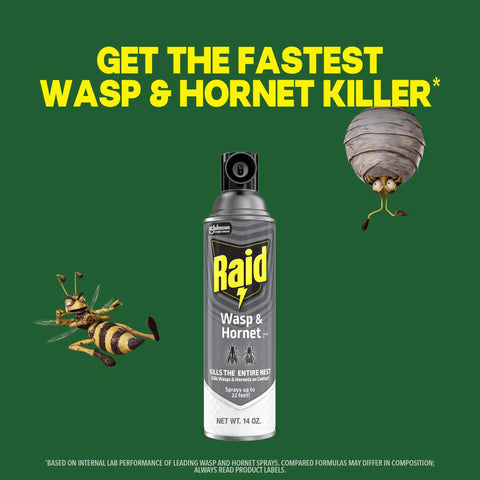 Straight Shooting Flying Insect Killer Spray For Wasps And Hornets With A Powerful Jet Stream Two 14 Oz Cans, 14 Oz can shown with insects.