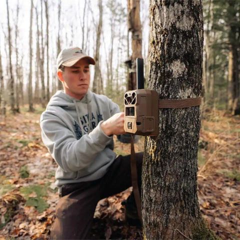 Installation of Edge 3 Cellular Trail Camera Bundle 2 Pack With 40MP HD Photos 1080p Low Glow Flash GPS on a tree trunk