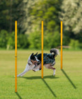 Dog navigating yellow poles in 2.6 Ft Dog Agility Obstacle Course Backyard Set With Wave Poles And Adjustable Hurdles Pack Of 3