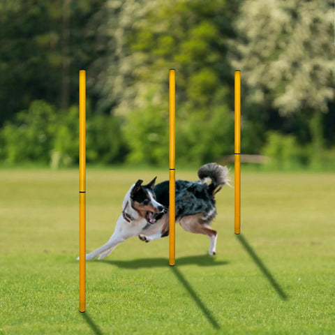 Dog navigating yellow poles in 2.6 Ft Dog Agility Obstacle Course Backyard Set With Wave Poles And Adjustable Hurdles Pack Of 3