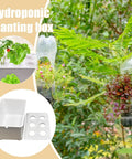 Six Holes Seedling Kit For Hydroponics Growing System with plants, six-hole lid, and sturdy PP planting box outdoors