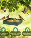 Heavy Duty WPC Platform Bird Feeder Hanging With 3.5 Lbs Capacity in green, holding birds in garden, metal mesh bottom visible
