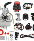 Plug And Play Electric Start Wiring Harness And PZ20 Carburetor Kit For Tao Tao Coolster 110cc 125cc Chinese ATV parts layout