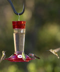 Ruby Red Hummingbird Feeder With Four Flower Shaped Feeding Ports Glass Outdoor Bird Feeder 10 Ounce Nectar Capacity Built In Ant Moat