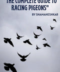 Complete Guide To Racing Pigeons For Serious Bird Buffs Training Techniques Strategies And Care To Turn Your Loft Into A Winning Racing Team Practical Pro Training Plans Diet And Health Checks For Consistent Wins Across Seasons title text with flying pigeons silhouette