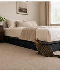 Real Deal Pet Proof Under Couch Barrier Stops Sneaky Dogs And Cats From Hiding Under Furniture While Securing Loose Toys Includes Quick Setup Kit And Tough Black Panels That Are A Straight Up Game Changer in a bedroom setting with a cat near the bed.