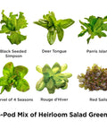 6 types of lettuce in the Heirloom Salad Greens Seed Pod Kit With Pre Seeded Pods, Liquid Plant Food, And Growing Guide, 6 Pod Indoor Garden
