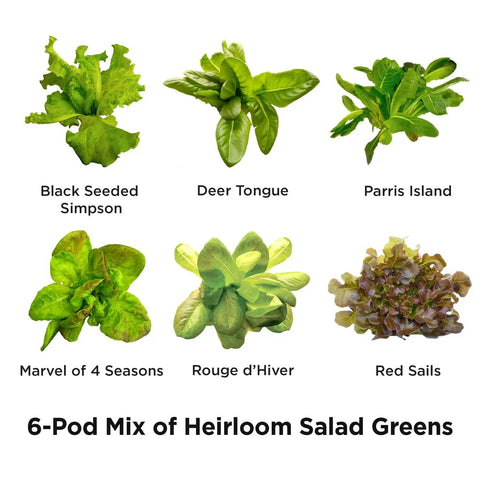 6 types of lettuce in the Heirloom Salad Greens Seed Pod Kit With Pre Seeded Pods, Liquid Plant Food, And Growing Guide, 6 Pod Indoor Garden
