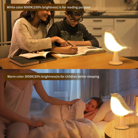 Cordless Bird Night Light With Touch Dimmer, Rechargeable Hummingbird Bedside Lamp used for studying and as a child's nightlight