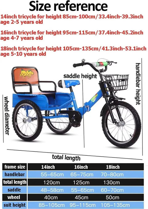 Folding Tricycle With Rear Cabin Back Seat 3 Wheel Cruiser Bike size reference with adjustable handlebars and saddle height