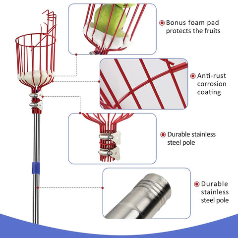 Diagram of Long Reach Fruit Picker Pole With Basket, 13 ft telescoping tool, stainless steel pole, foam-padded basket, metal clamp.