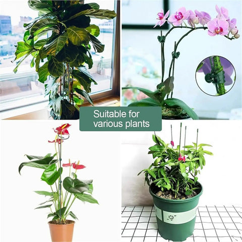 Flexible Plant Support Kit For Climbing Plants, 22 Bendable Brackets With Clip And Rustproof Coating, Great For Tomatoes, Flowers, Backyard Gardens, Balcony Setups, And Vertical Growth