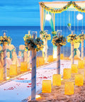 Sea-side wedding aisle lit with Lit Butterfly Luminary Bags And Flameless LED Tealights Set Of 50 Each White Outdoor Lanterns.
