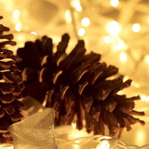 Pine cones surrounded by 100 Count Mini Clear Christmas Lights On 21 Feet White Wire For Indoor Outdoor Decor Great For Trees Weddings Valentine