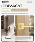 Gold Finished Heavy Duty Interior Door Handle Set With No Fuss Privacy Lever For Bedroom And Bathroom on wooden door