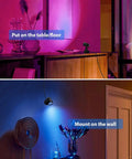 Indoor LED Spotlight Kit 3W Warm White 3000K Uplight For Plants And Artwork on table and wall display