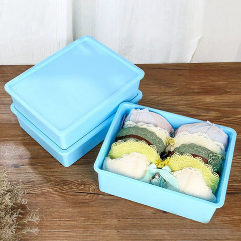 Blue Plastic Wardrobe Organizer Set 3 Piece Drawer Dividers For Underwear And Socks with neatly stored bras.