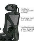 Ergonomic Mesh Task Chair With Lumbar Support And Adjustable Height For All Day Comfort, breathable mesh back and seat shown