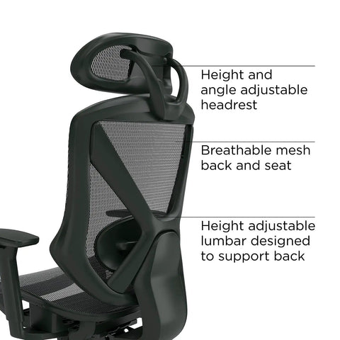 Ergonomic Mesh Task Chair With Lumbar Support And Adjustable Height For All Day Comfort, breathable mesh back and seat shown