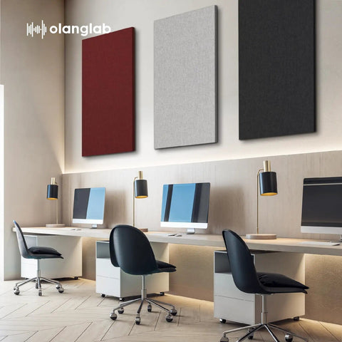 Top Shelf Large Acoustic Panels 2 Pack 48x24 Inches Sound Proof Foam Wall Tiles Heavy Duty Fabric Wrapped on office wall.