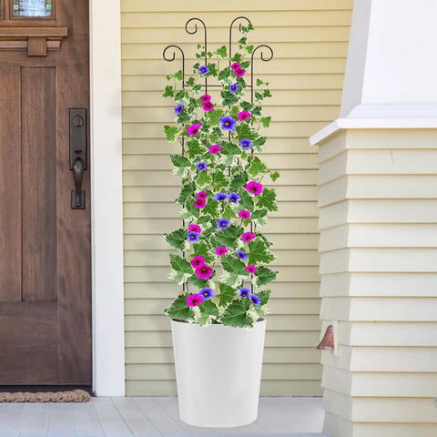 Four Pack 32 Inch Tall Wave Shape Black Metal Garden Trellis Set For Climbing Plants Indoors And Outdoors With Adjustable Height