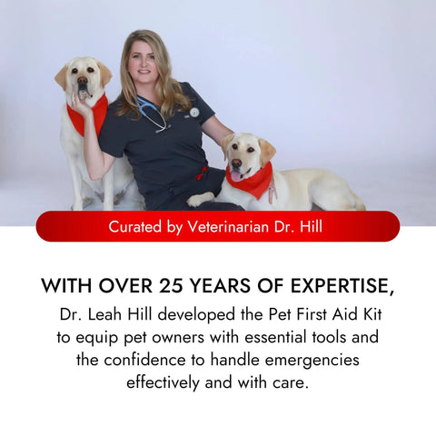 Cat And Dog First Aid Kit For Home And Travel With Thermometer Wound Care Supplies Bandages Antiseptic Essentials In A Medium Travel Bag Vet Designed For Emergencies