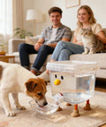 Dog drinking from Smile Face Cat Water Dispenser With Cartoon Pet Fountain in living room, couple and cat in background