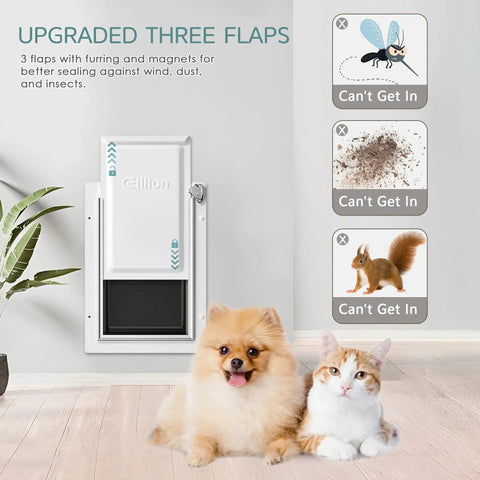 Top Shelf Medium Size Dog Door For Wall With 3 Flap Insulated Panel And Telescoping Tunnel Heck Yeah Slick All Steel Build For Pets Up To Forty Pounds Gets You Outside Like A Champ with dogs and cat in front.
