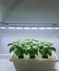 2Ft Suction Cup Plant Grow Light 12W LED Wall Mount Grow Lamp With Adjustable Height For Seed Starters, Herbs, and Indoor Gardens