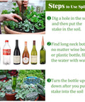 Instructions for using Six Pack Terracotta Plant Watering Spikes With Slow Release Self Watering Waterers, showing bottle insertion.