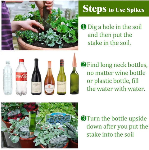 Instructions for using Six Pack Terracotta Plant Watering Spikes With Slow Release Self Watering Waterers, showing bottle insertion.