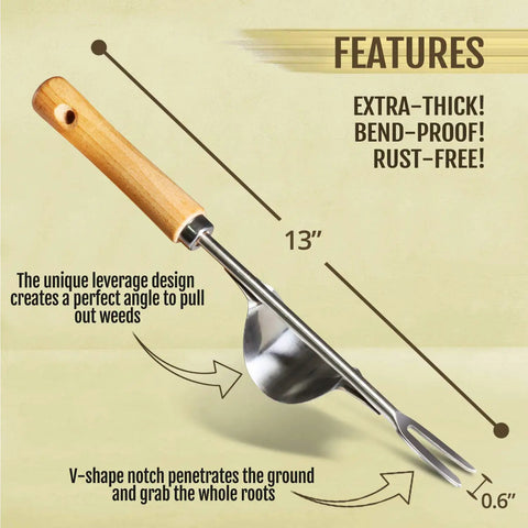 Manual Hand Weeder With Bend-Proof Leverage Base, 13-inch, Chrome Plated Steel, Wood Handle, Showing Features and Dimensions
